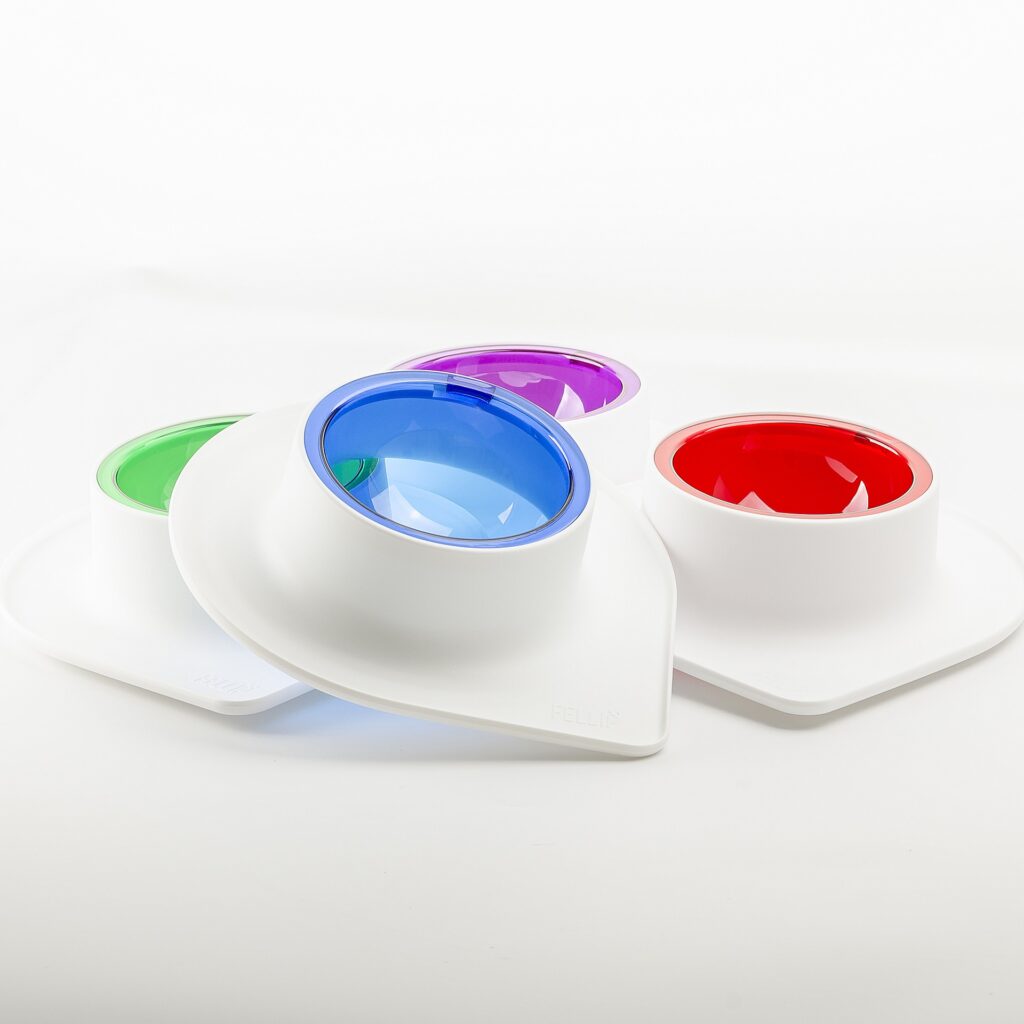 Dog Bowl
