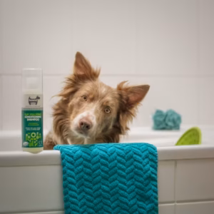 Dog shampoo