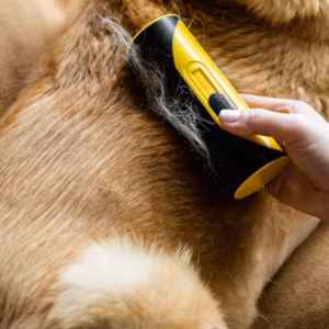 Pet hair remover
